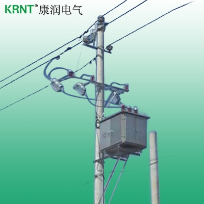 KRTBBW型柱上式高壓無功補償裝置